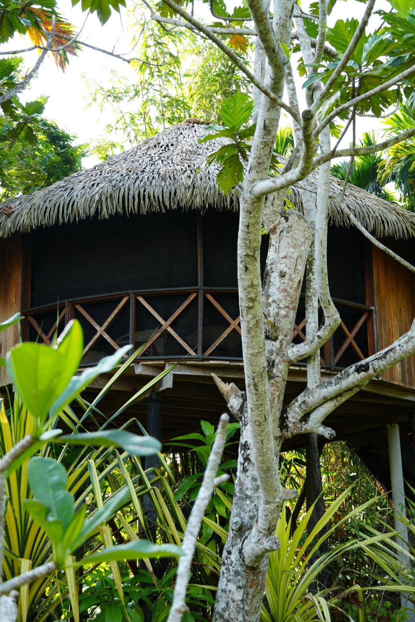 Huma Terra Lodges Hikkaduwa Zewnętrze zdjęcie