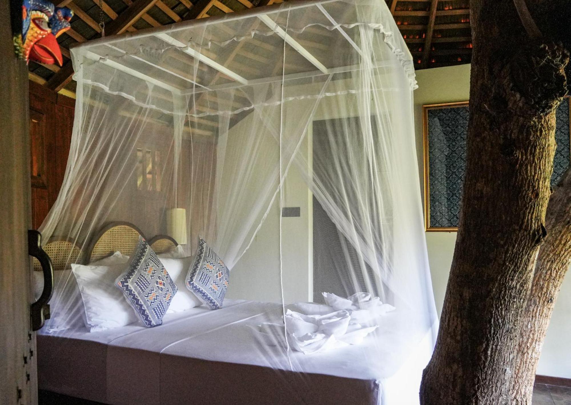 Huma Terra Lodges Hikkaduwa Zewnętrze zdjęcie